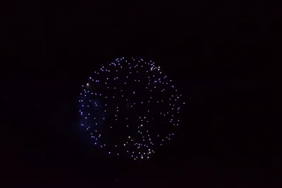 DSC_3390 (Large).JPG